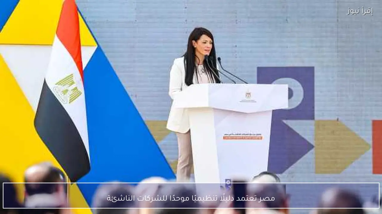 مصر تعتمد دليلًا تنظيميًا موحدًا للشركات الناشئة